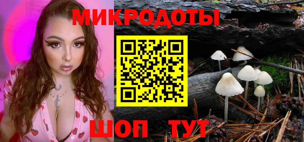 Галлюциногенные грибы мухоморы Пугачёв