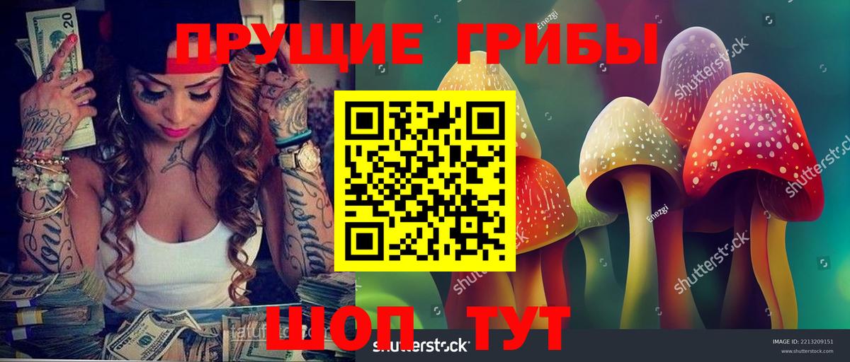 Псилоцибиновые грибы GOLDEN TEACHER  Вход с VPN  Пугачёв 